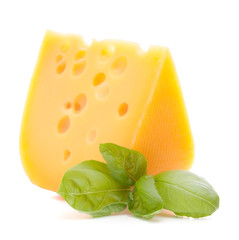 Cheese and basil leaves still life