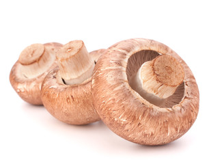 Brown champignon mushroom