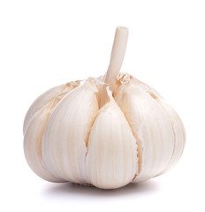 garlic bulb