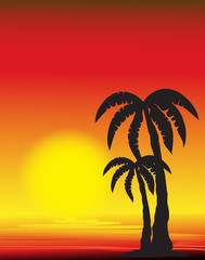 Fototapeta na wymiar palm tree silhouette at sunset, vector image