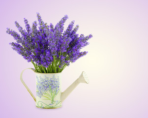Innaffiatoio con lavanda