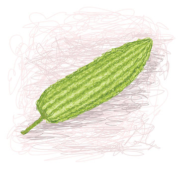 Green Bitter Gourd PNG Picture, Bitter Gourd Vegetable Green Hand Drawn  Wind Food Element, Cloud Shading, Vegetable, Green PNG Image For Free  Download | Bitter gourd, Gourd vegetable, Green vegetables