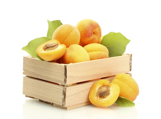 ripe apricots with green leaves in wooden box isolated on white