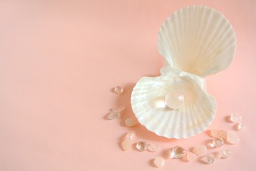 貝殻と宝石