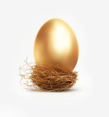 Golden egg in nest - 43573380