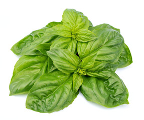 basil leaves