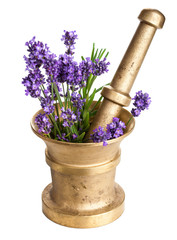 mortar with lavender isolated