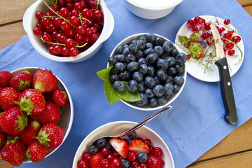 frischer Snack aus dem Garten