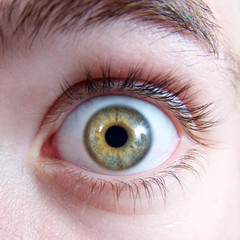 Erschrockener Blick – Auge mit grüner Iris