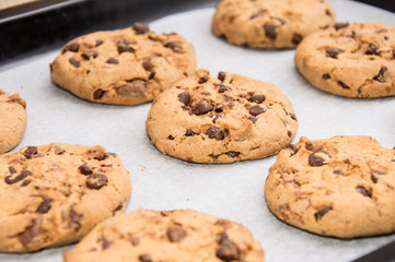 Fresh homemade Cookies on a griddle