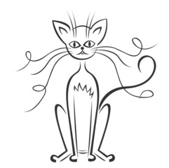 katze outlines
