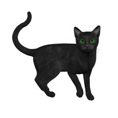 3D Black Cat