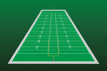 Football Field Perspective