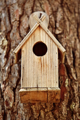 Bird Wooden House in the Forest