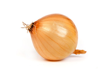 One onion, isolated on white