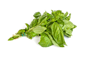 Fresh green basil leaves on white background