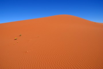Rote Sanddüne in der Namib