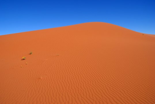 Rote Sanddüne in der Namib