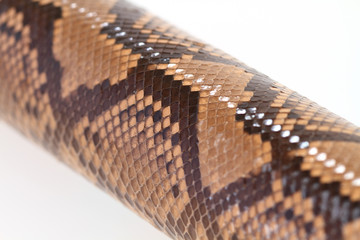 蛇　巳年年賀状