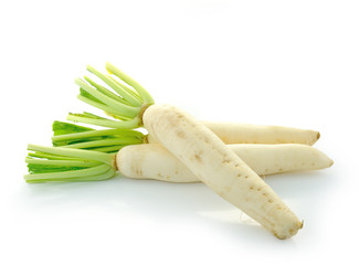 Daikon radishes isolated on white background