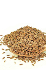 close up of cumin seeds kept in wooden spoon