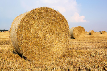 Rundballen