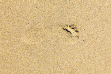 footprint at the beach
