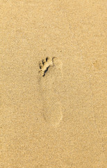 Fototapeta na wymiar footprint at the beach