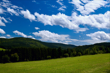 summer mountains covered with green forests