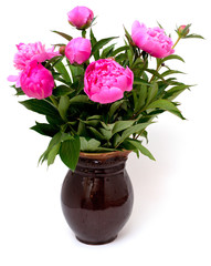 vase with peonies