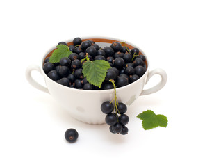 bowl with black currant