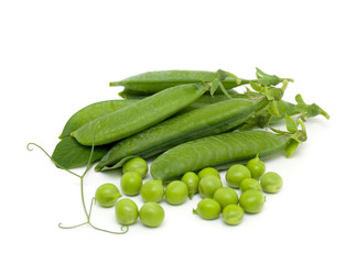 pods of fresh pea