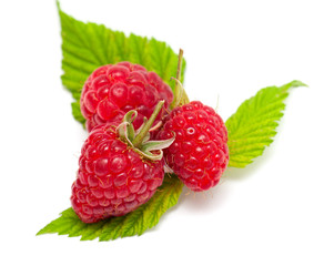 raspberries isolated on white