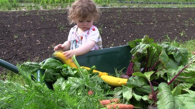au potager