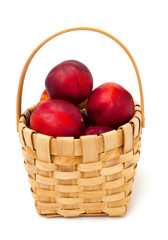 basket with nectarines