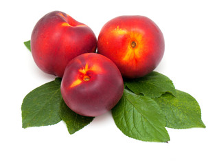 nectarines isolated on white background