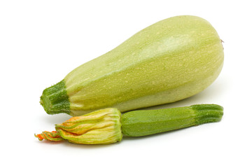 fresh marrow