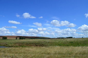 Fototapeta premium Поле