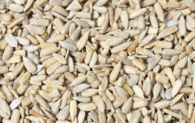 Sunflower seeds