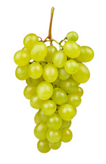 white grape