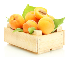 ripe apricots with green leaves in wooden box isolated on white