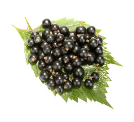 Fresh black currant isolated on white