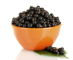 Fresh black currant in orange bowl isolated on white