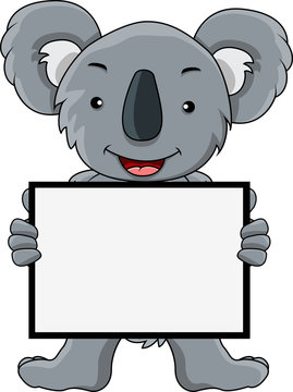 funny koala cartoon with blank sign