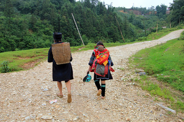 Mongs noires marchant dans la montagne