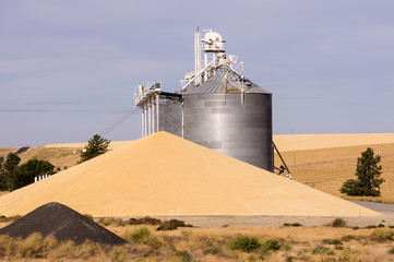 Grain elevator with grain wasted © zigzagmtart