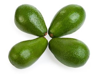 Group avocado isolated on a white background