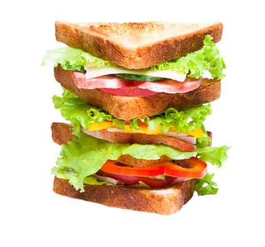 Sandwich on the white background