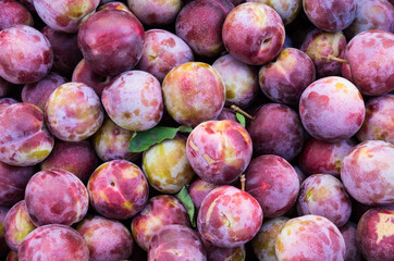 Fresh plums on display