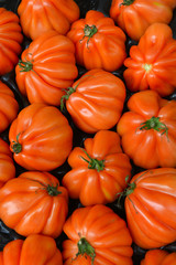 tomatoes on the counter